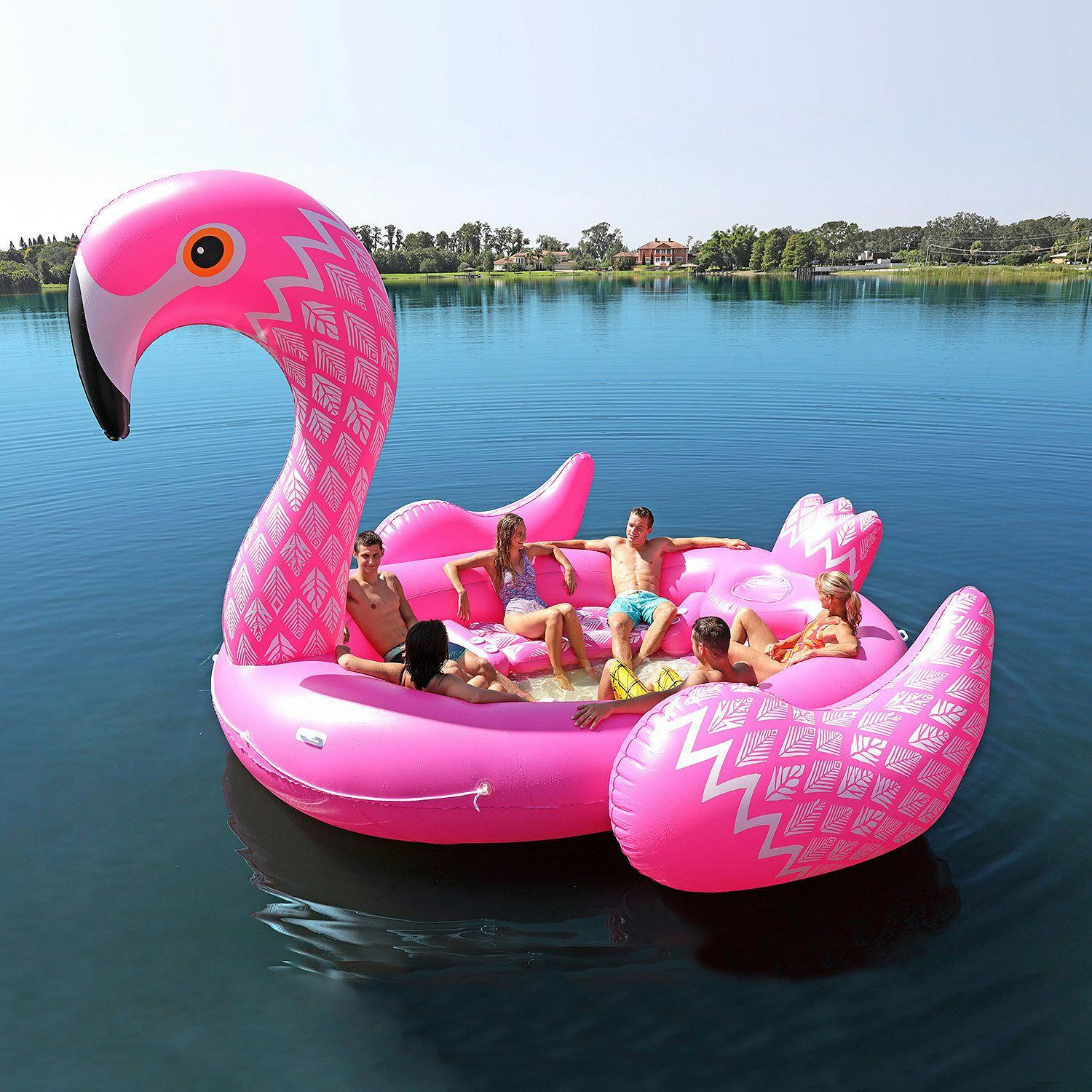 awkward swan pool float