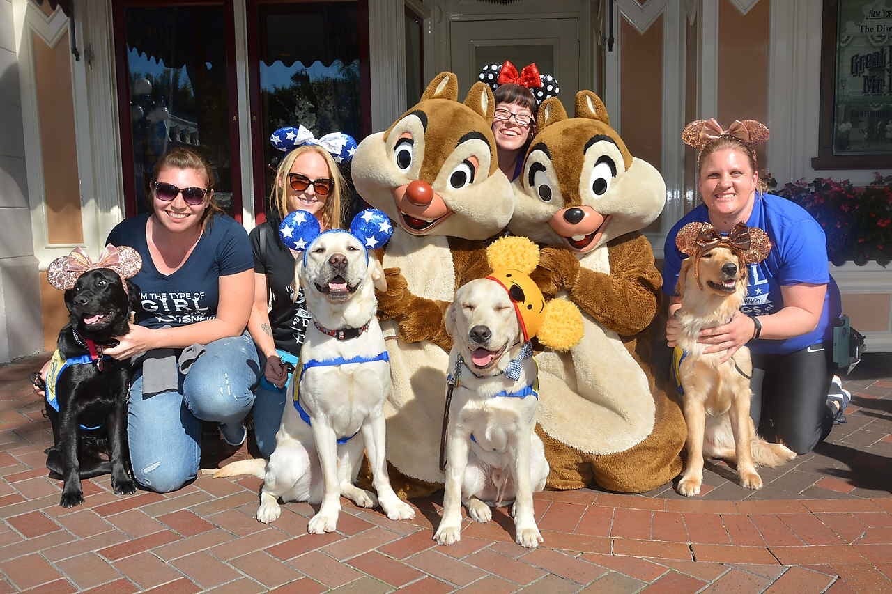 These Photos Of Service Dogs Visiting Disneyland Will Make Your Dreams